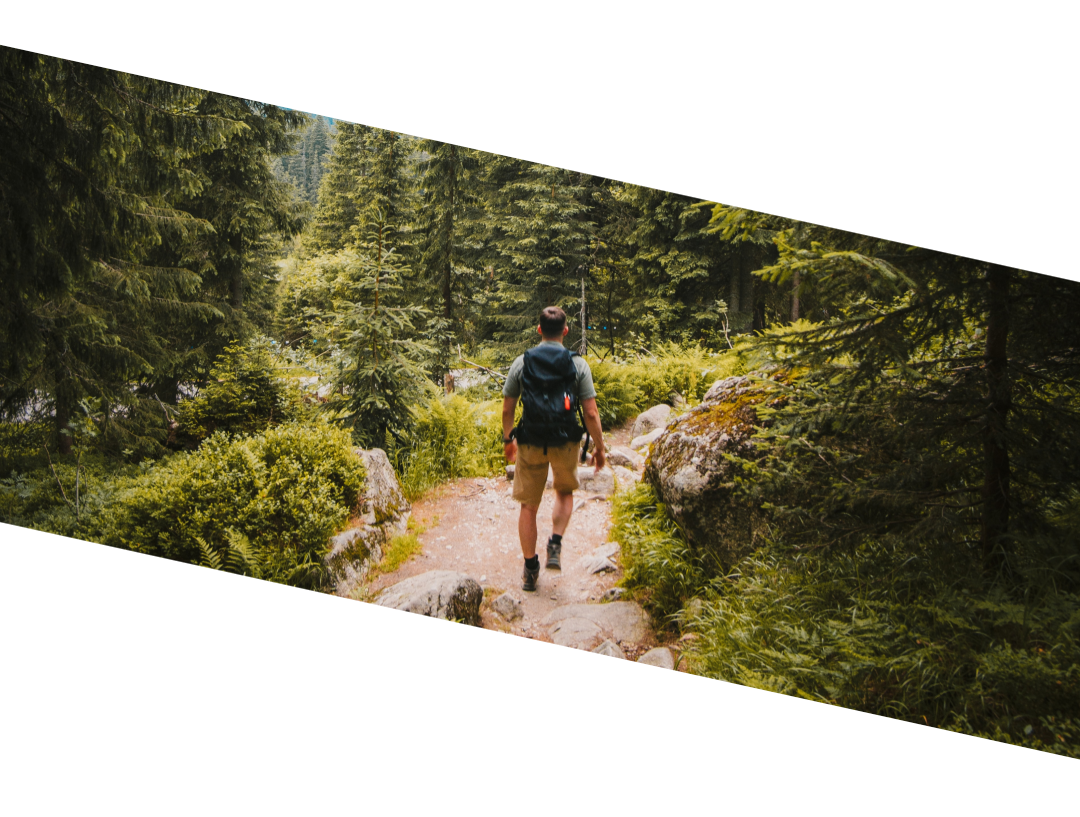 Picture of a main hiking