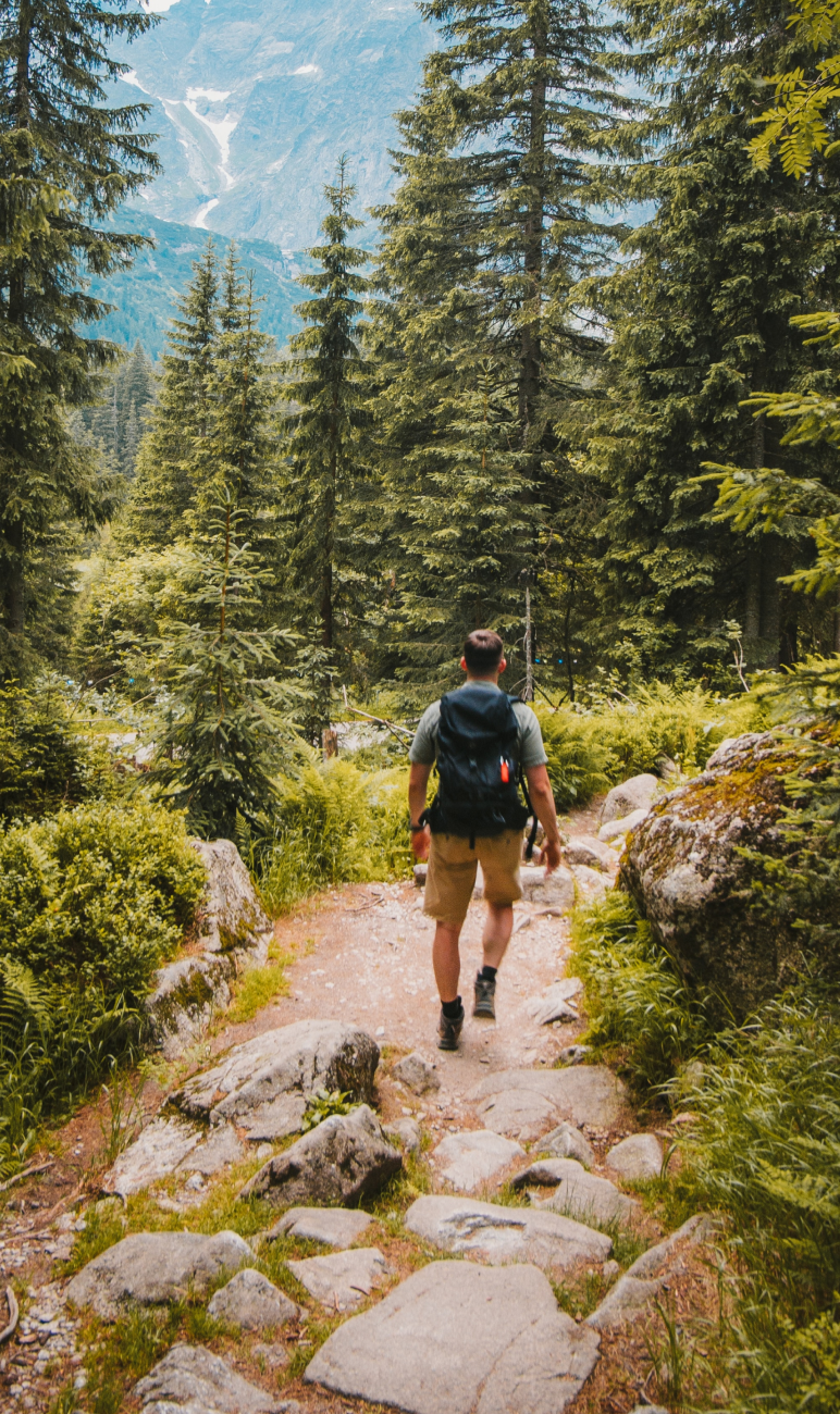 Man in the forest